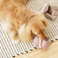 2-in-1 Petite Bakery Enrichment Dog Toy