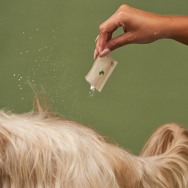 Dry shampoo on-the-go