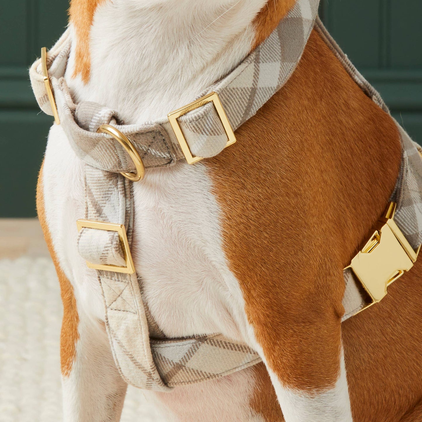 Andover Plaid Flannel Harness
