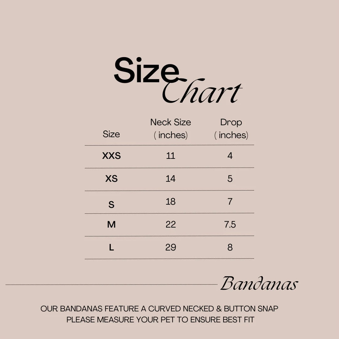 Tricks for Treats Snap On Bandana