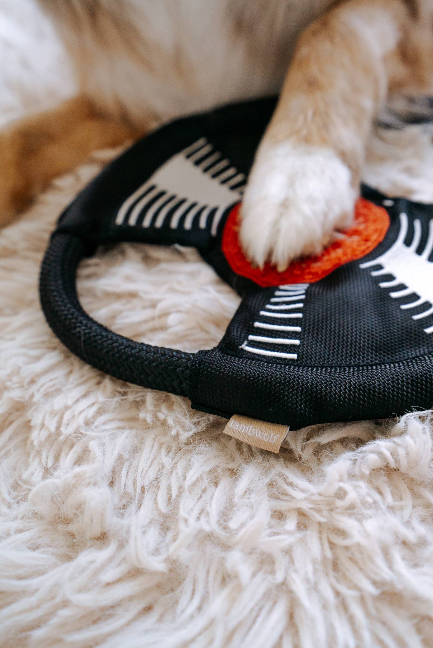 Record Dog Enrichment Toy