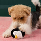 Penguin 2-in-1 Bounce Dog Toy