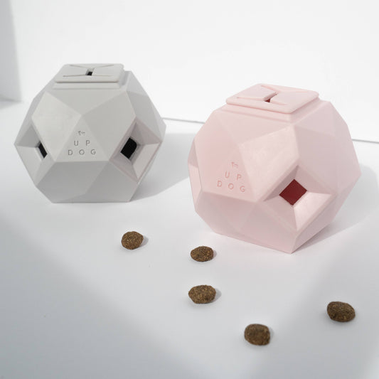 Modern Interactive Dog Puzzle Toy - The Odin