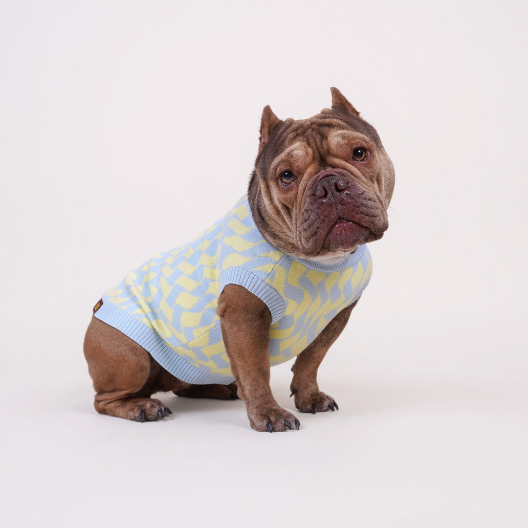 Seaside Swirl Cotton Knitted Dog Vest