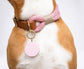 The Best Good Girl Pet Tag