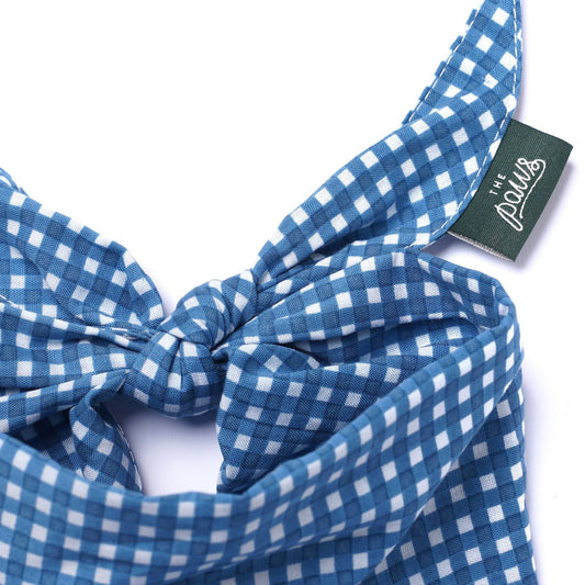 Blue Gingham Dog Bandana