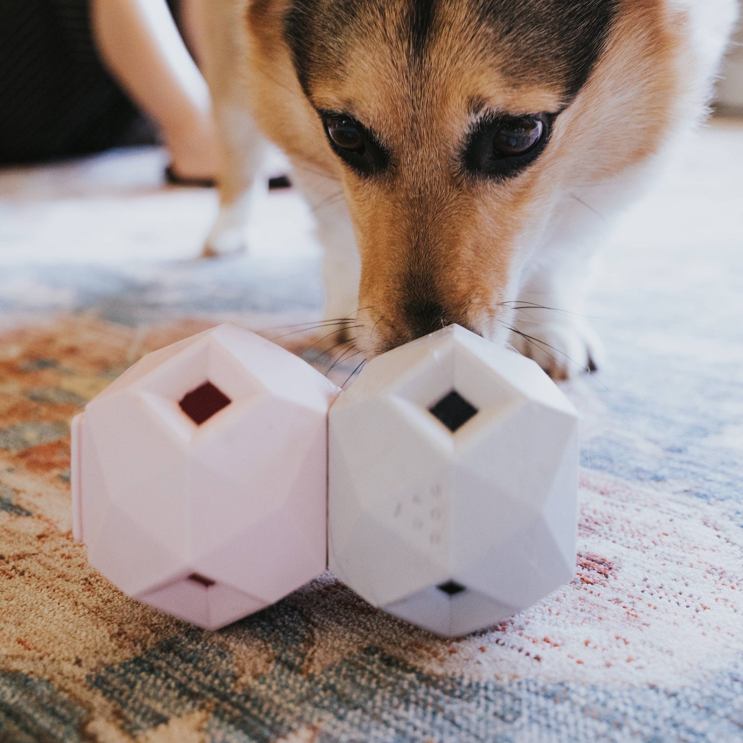 Modern Interactive Dog Puzzle Toy - The Odin