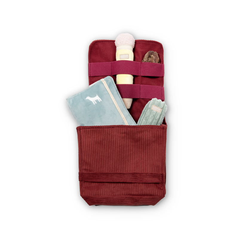 2-in-1 Back to School Enrichment Play Set