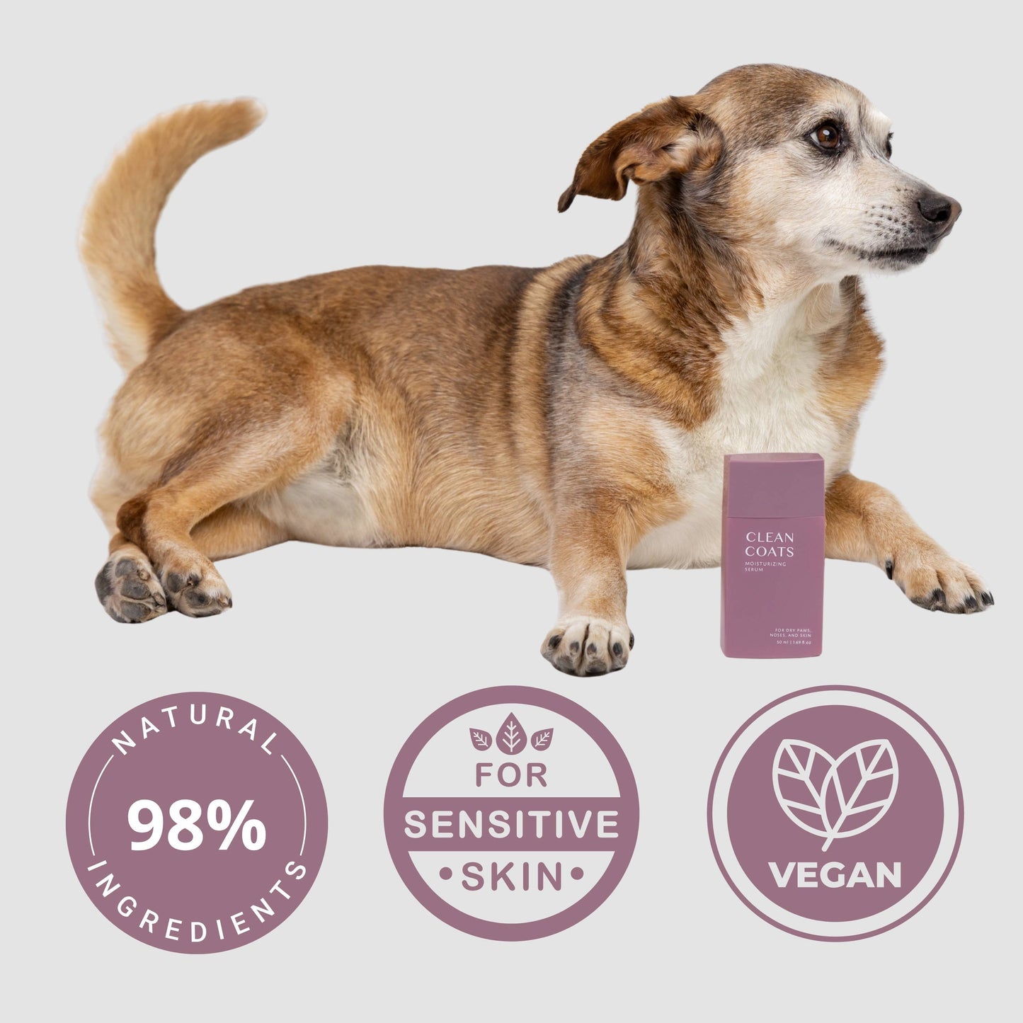 Dog Moisturizing Serum for Paws & Noses - Fast Absorbing