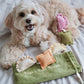 Ravioli Nosework Enrichment Toy