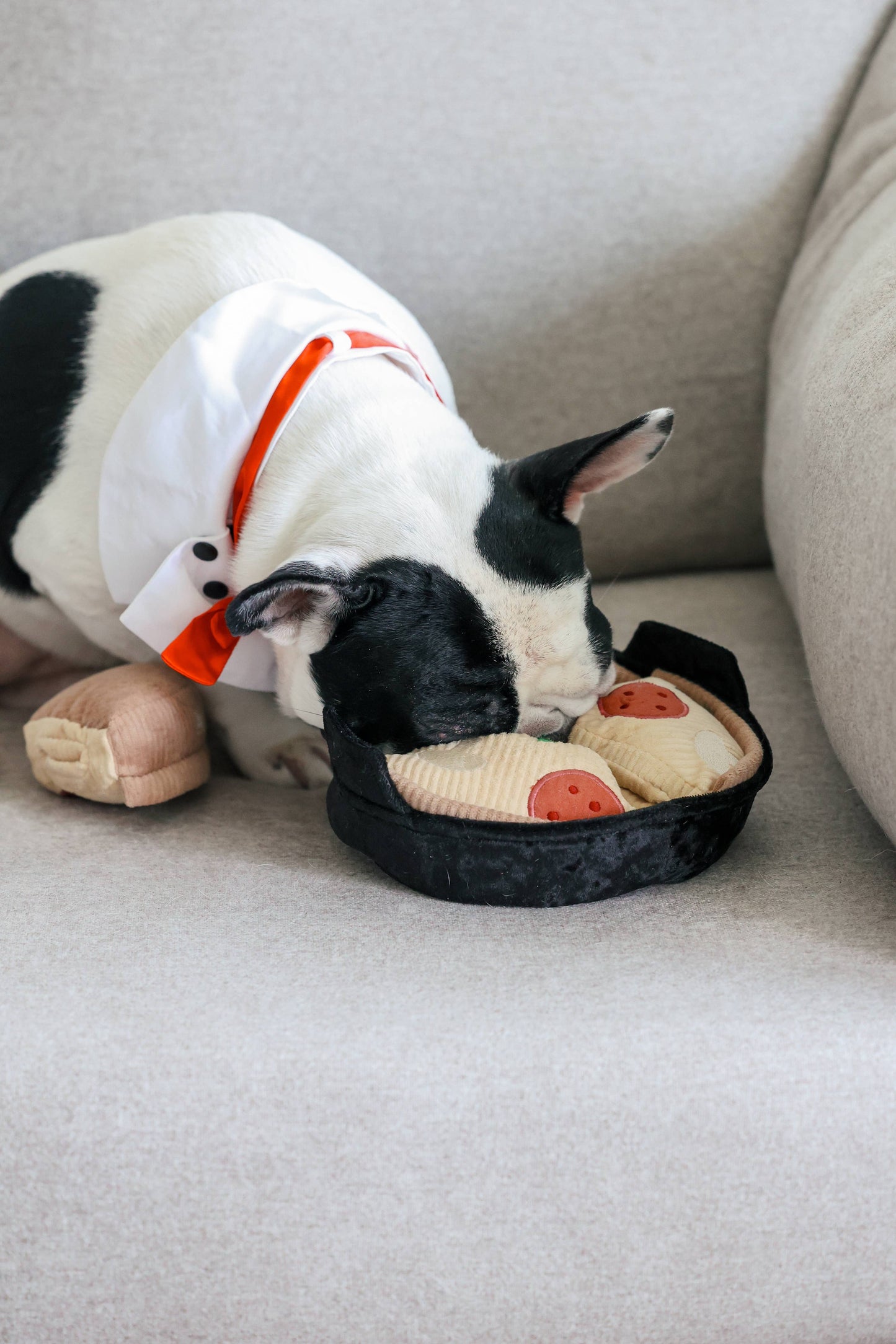Deep Dish Pizza Dog Enrichment Toy