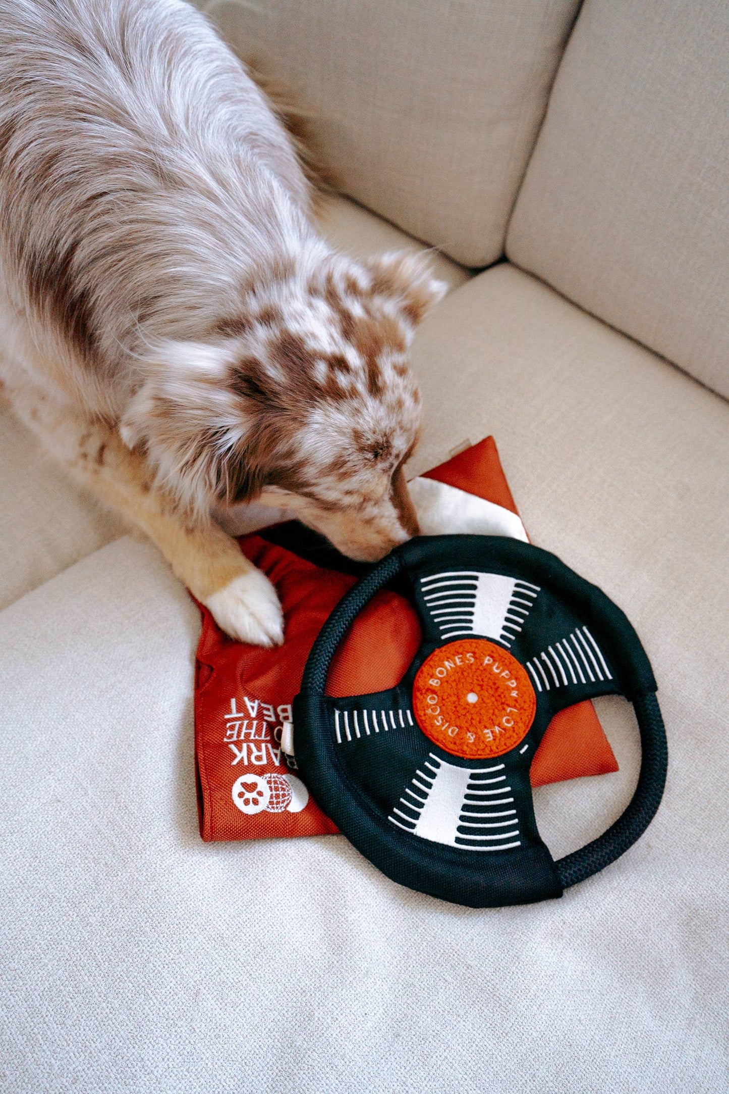 Record Dog Enrichment Toy