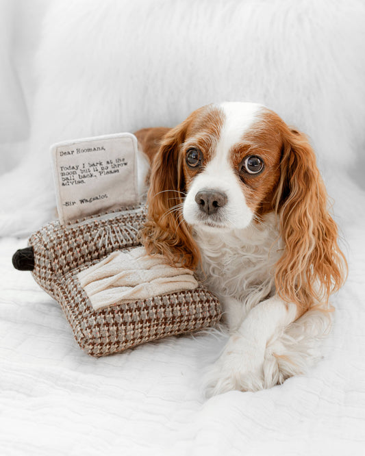 Typewriter Dog Enrichment Toy