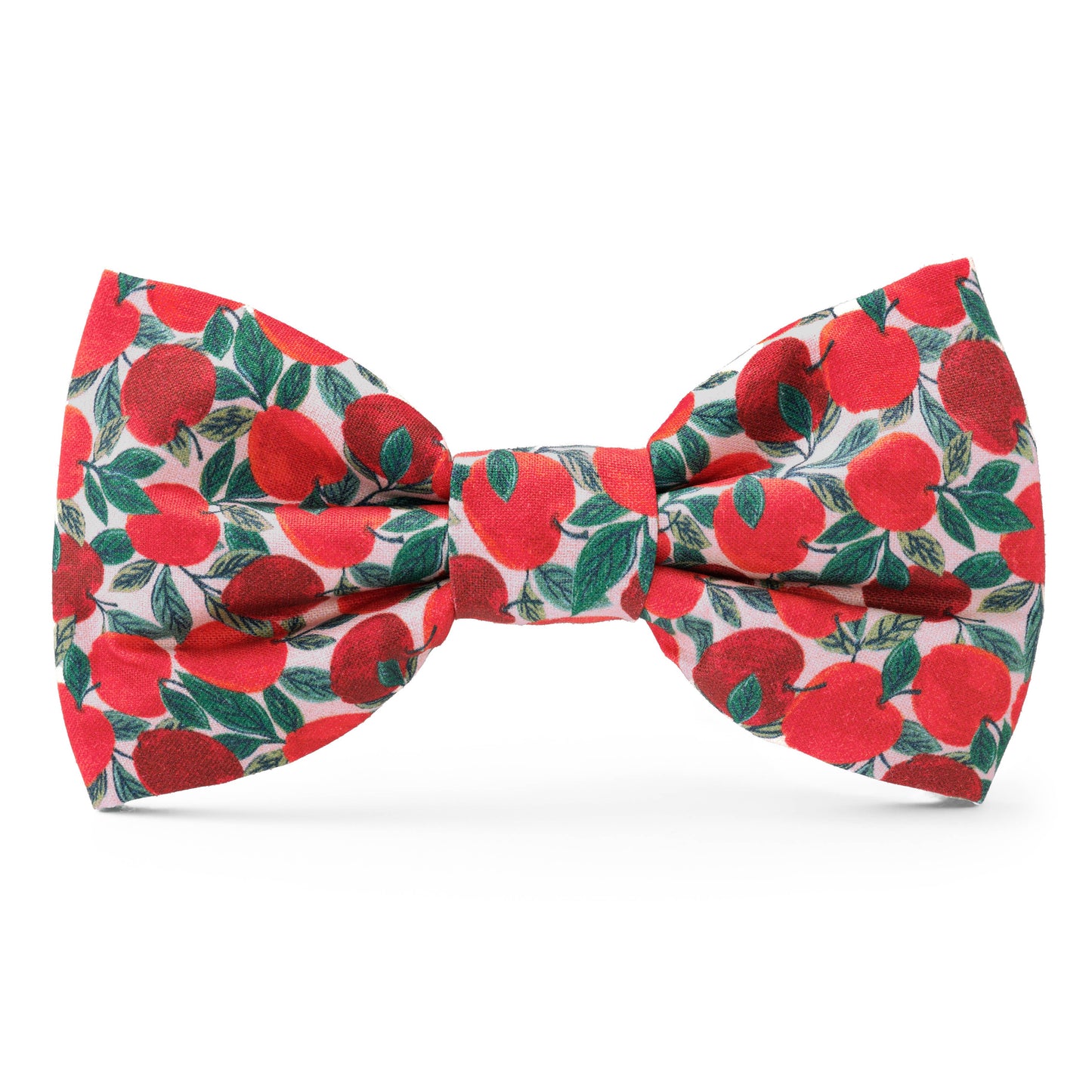 Apple of My Eye Fall Dog Bow Tie