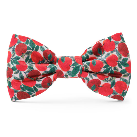 Apple of My Eye Fall Dog Bow Tie