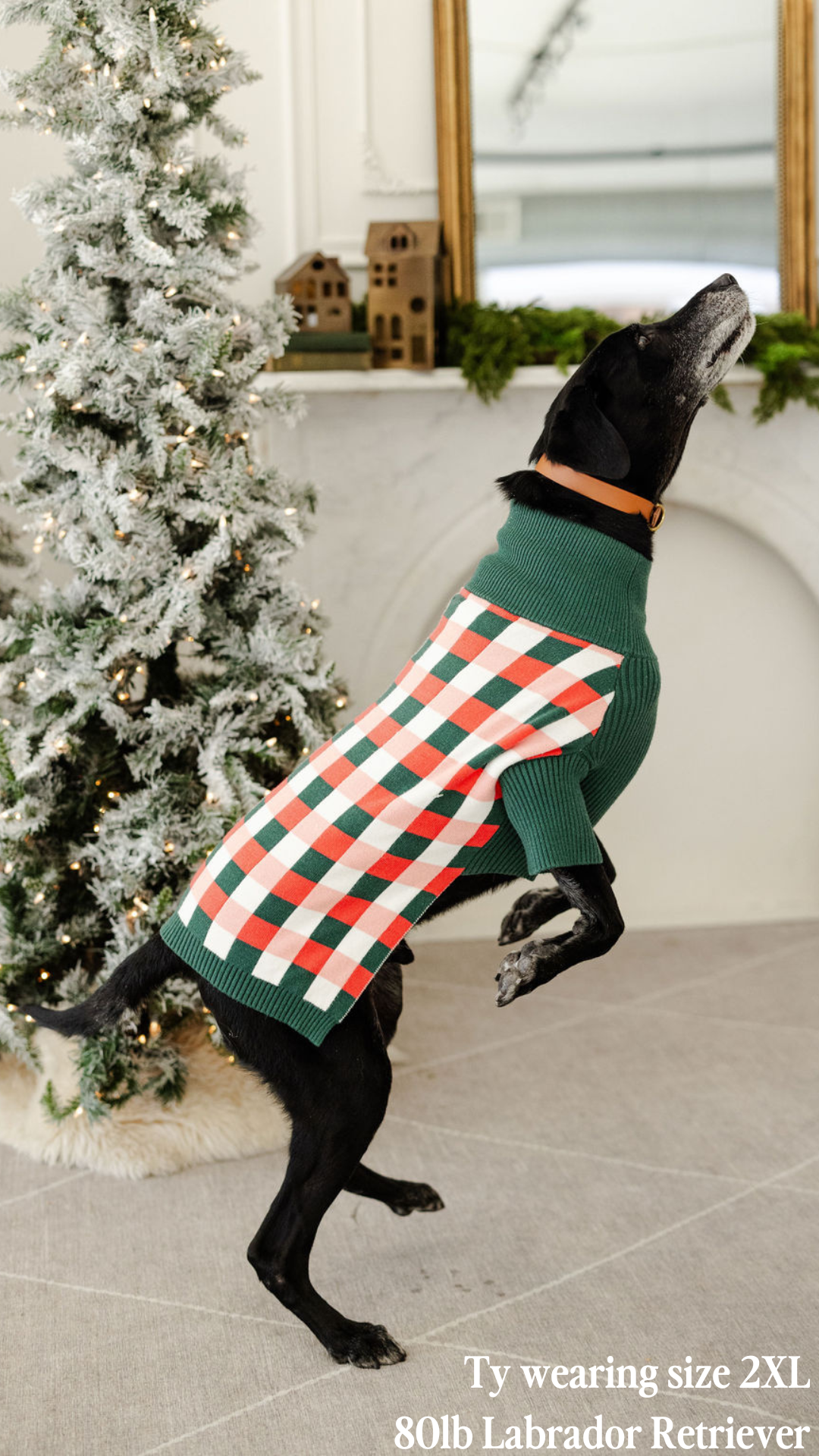 Rosy Plaid Dog Sweater