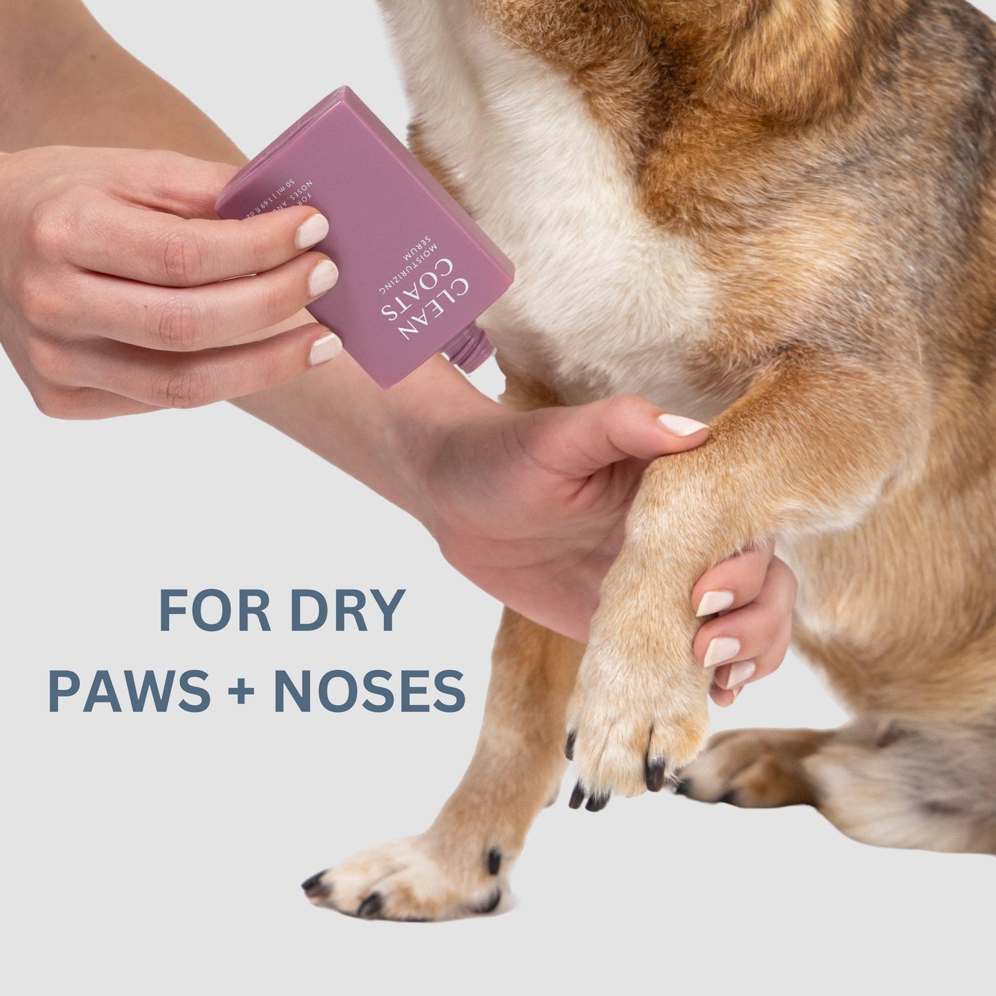 Dog Moisturizing Serum for Paws & Noses - Fast Absorbing