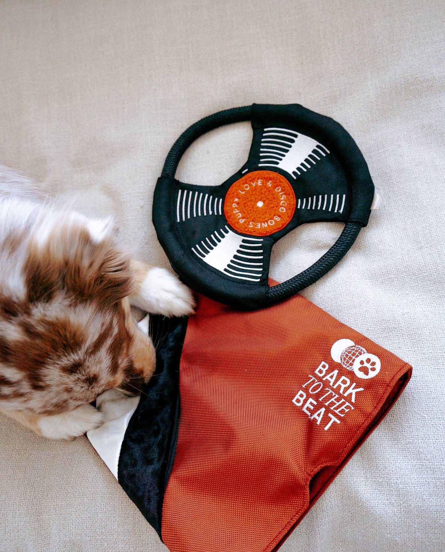 Record Dog Enrichment Toy
