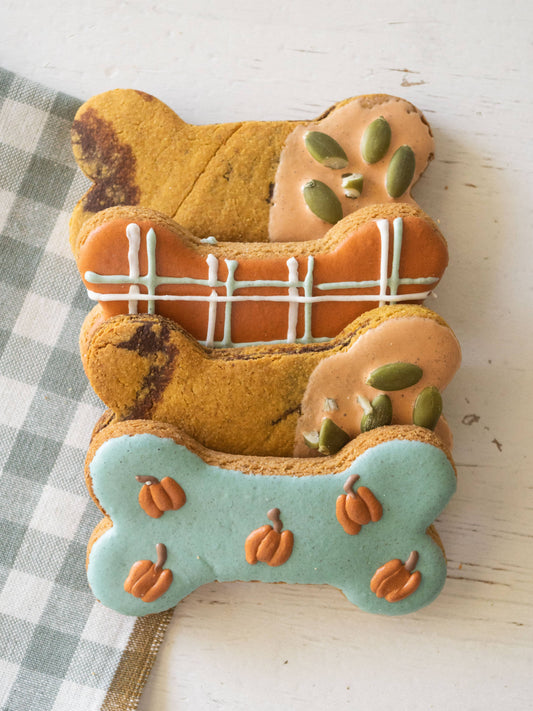 Pumpkin Patch Bone Box - Fall Bone Biscuits for Dogs