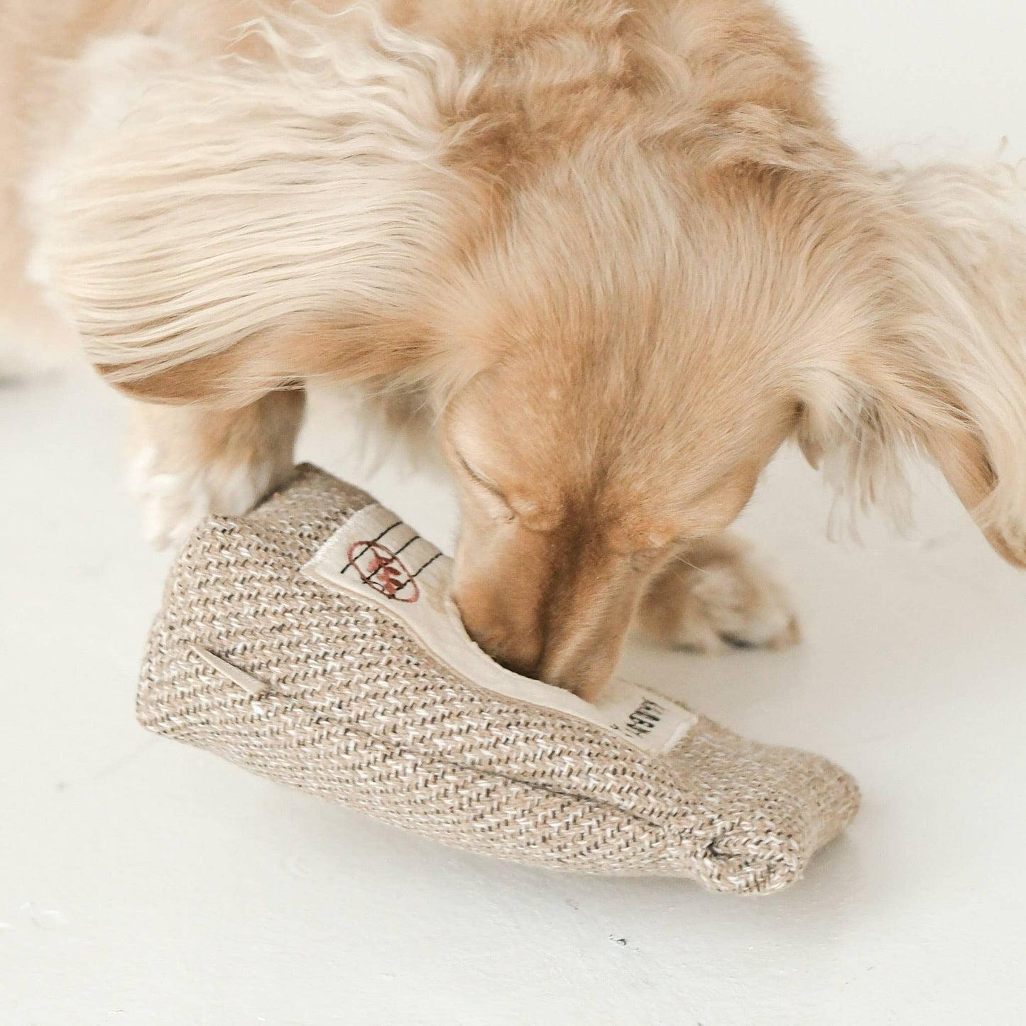 Coffee Beans Enrichment Dog Toy