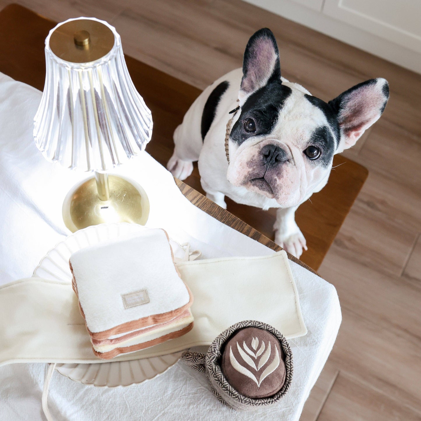 Latte Pop Enrichment Dog Toy