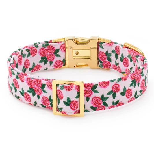Rosette Dog Collar