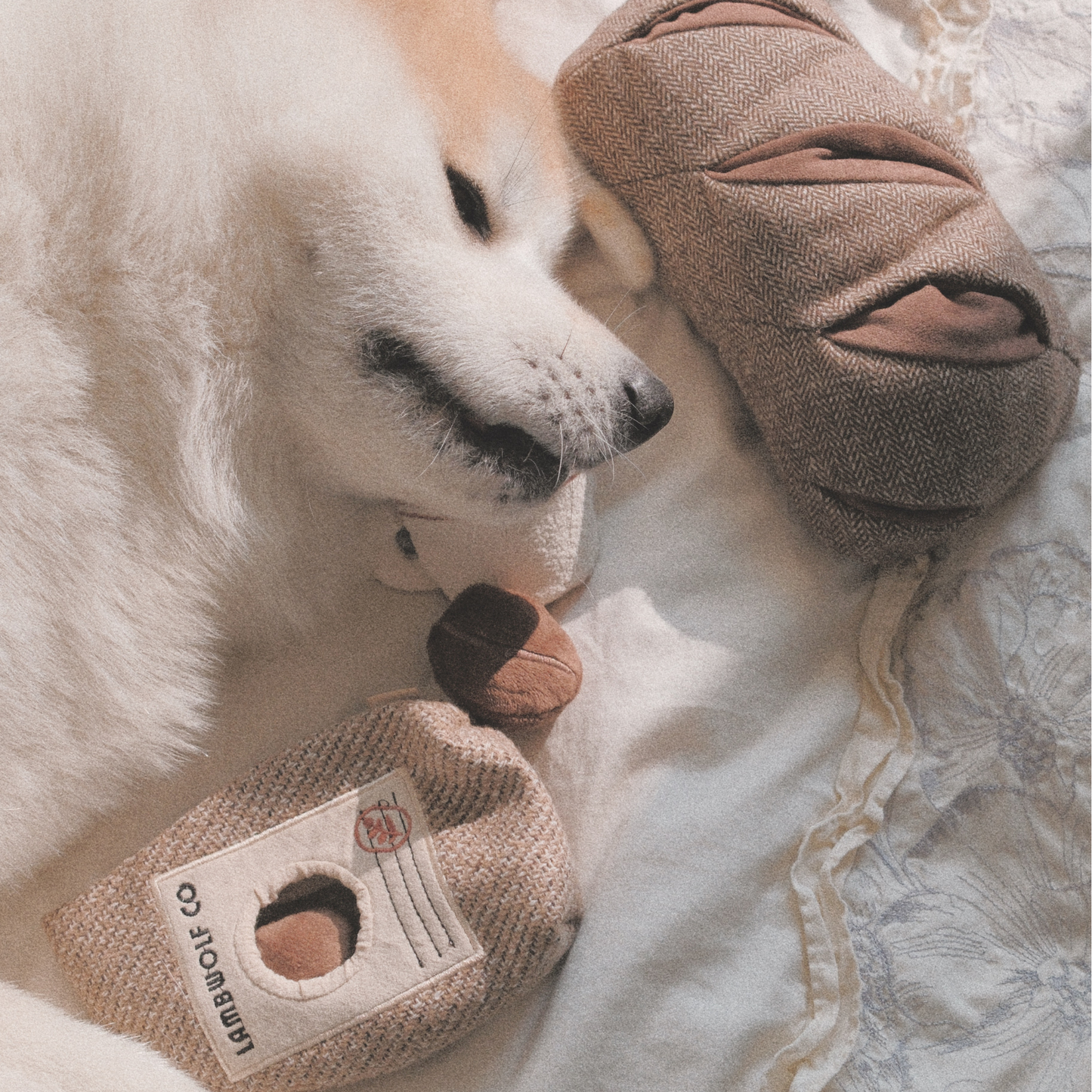 Coffee Beans Enrichment Dog Toy