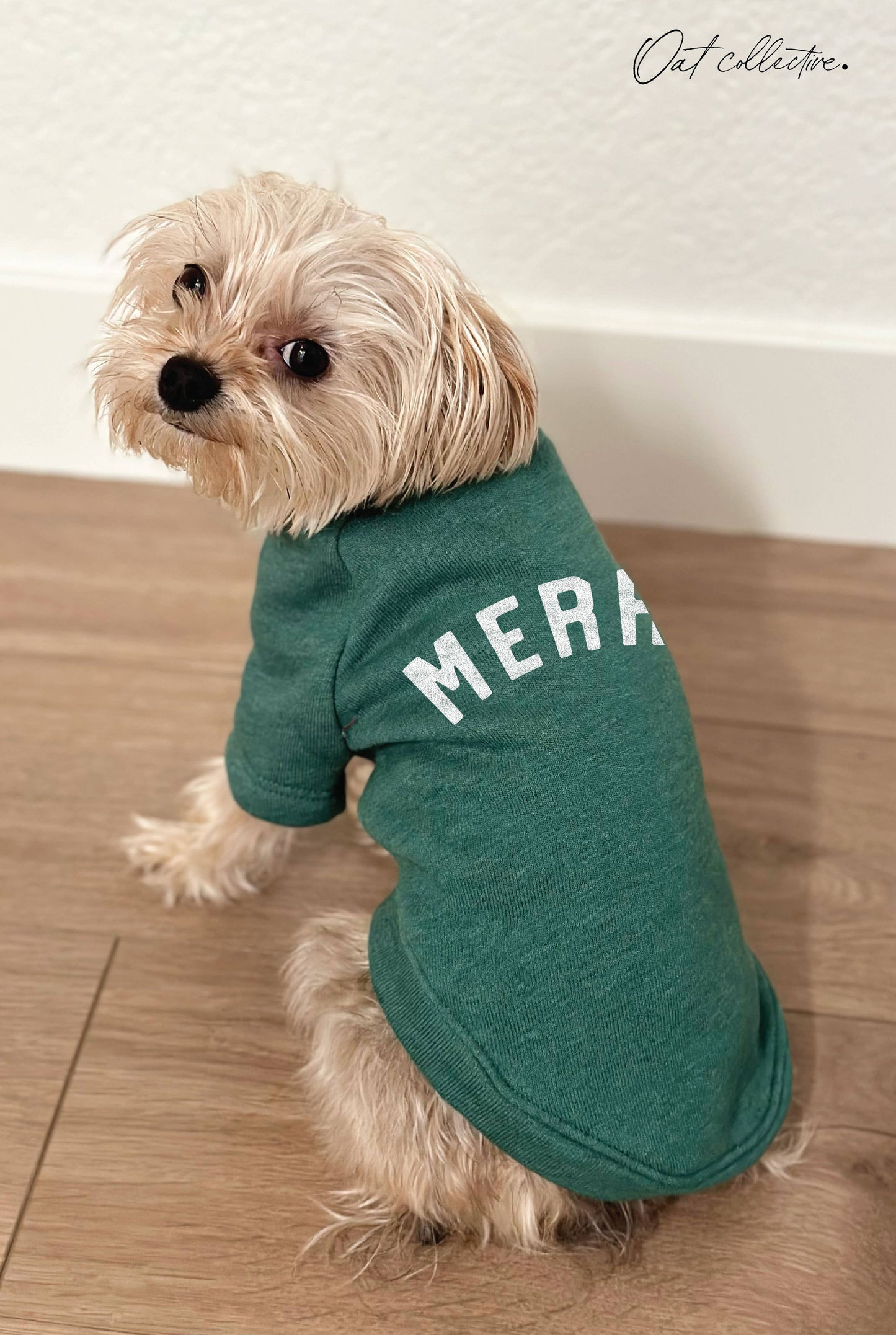 MERRY Pet Graphic Sweatshirt