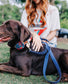 The Best Good Girl Pet Tag