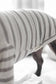 Chelsea Dog Shirt