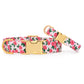 Rosette Dog Collar