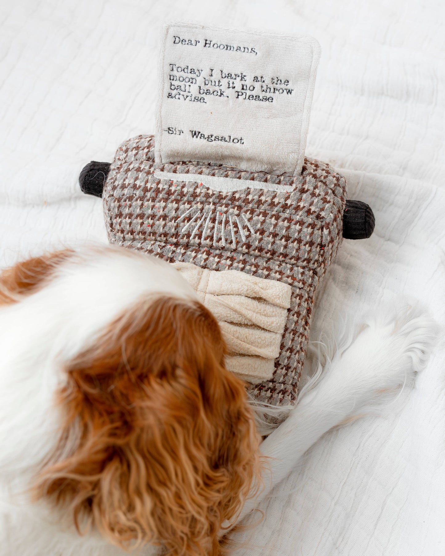 Typewriter Dog Enrichment Toy