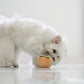 Fruit Set of Enrichment Dog Toys