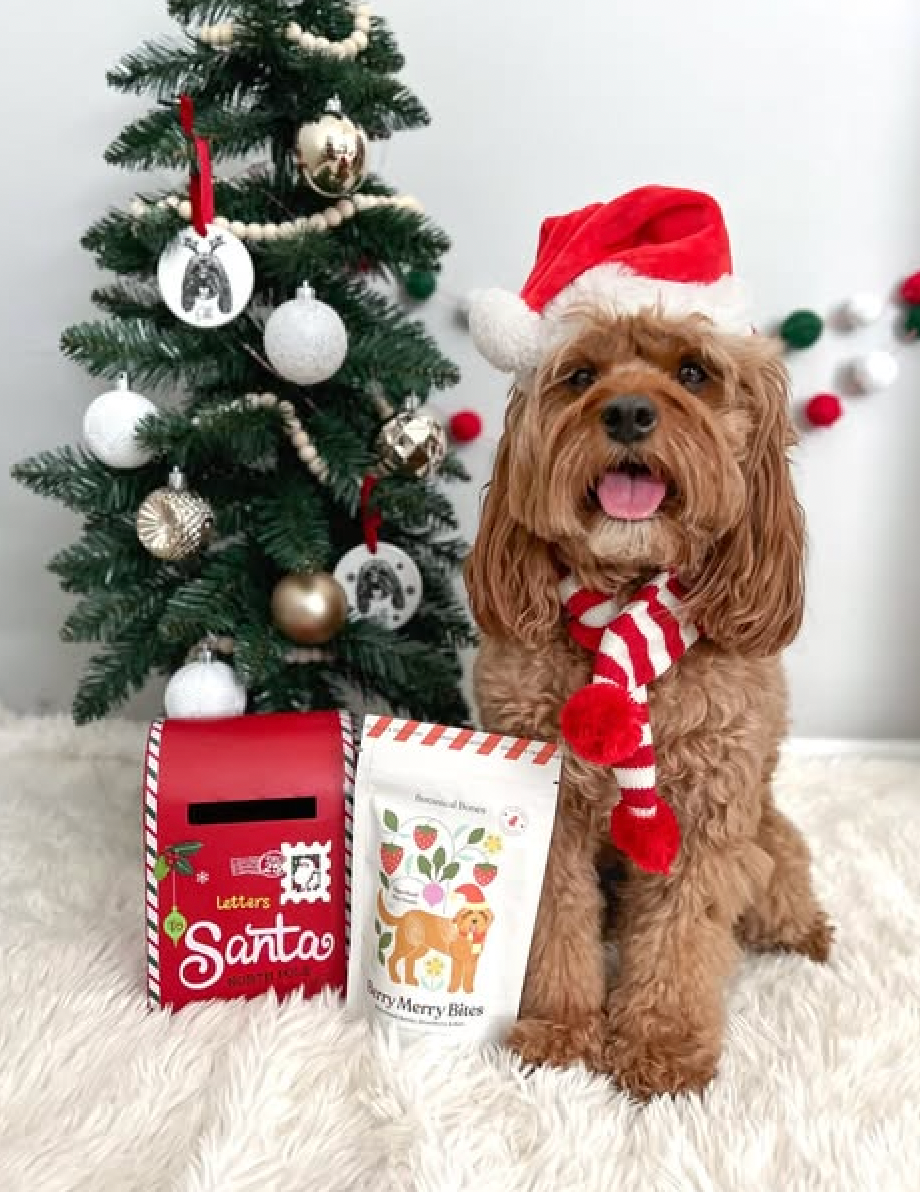 Berry Merry Bites - Holiday Dog Treats