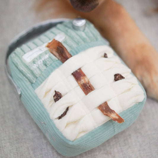 Woof FM Radio Dog Enrichment Toy