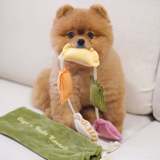 Ravioli Nosework Enrichment Toy