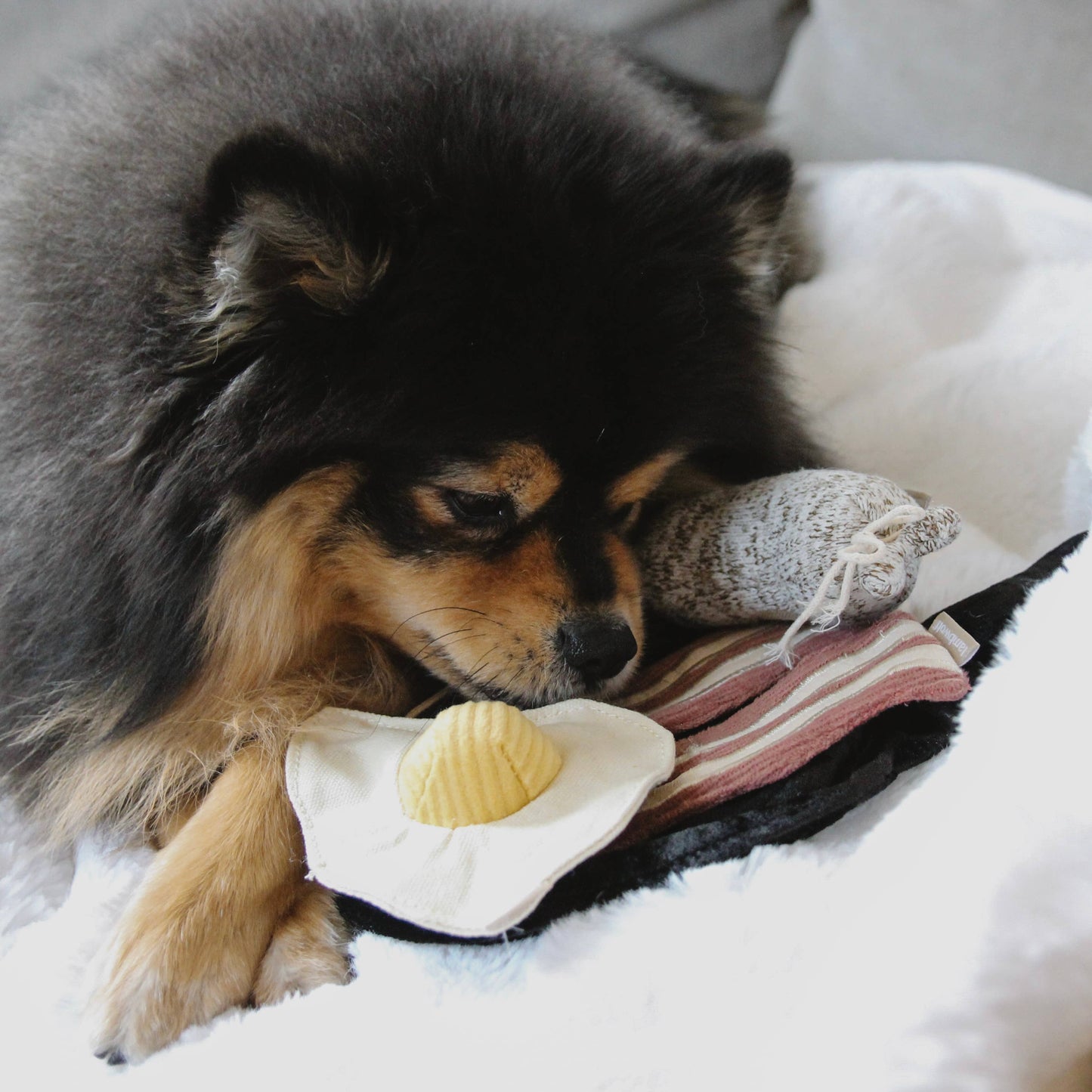 Breakfast Set Dog Enrichment Toy