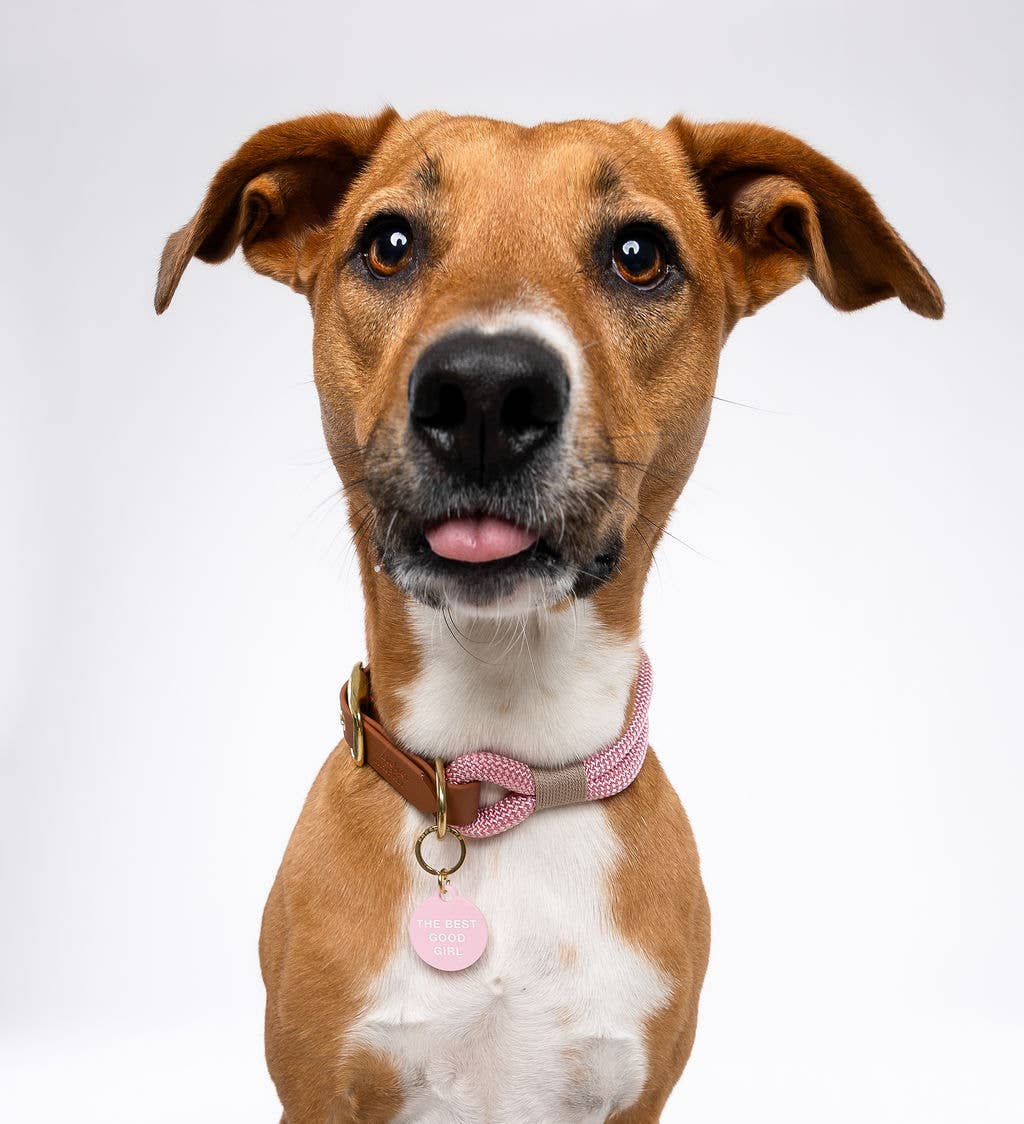 The Best Good Girl Pet Tag