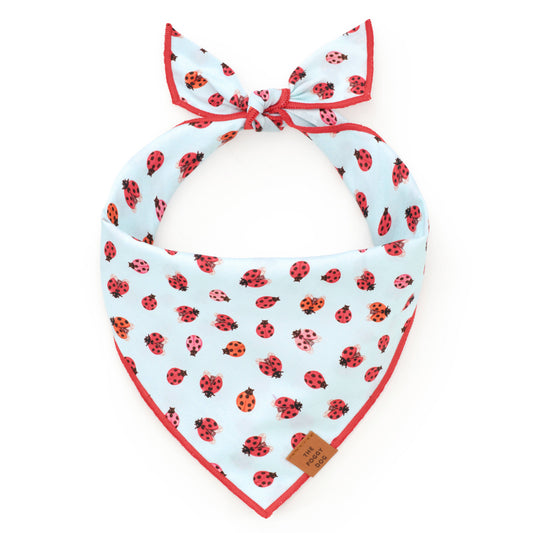 Love Bug Dog Bandana