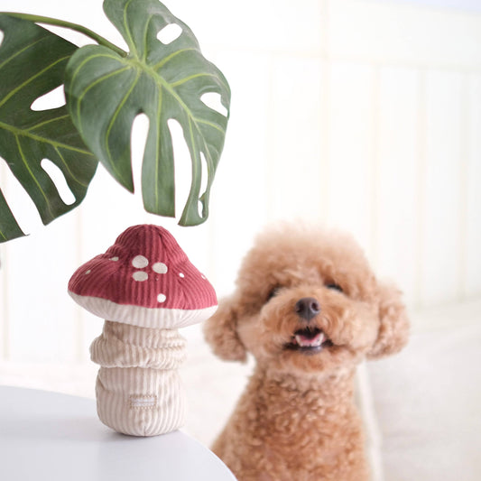 Shroom Enrichment Dog Toy