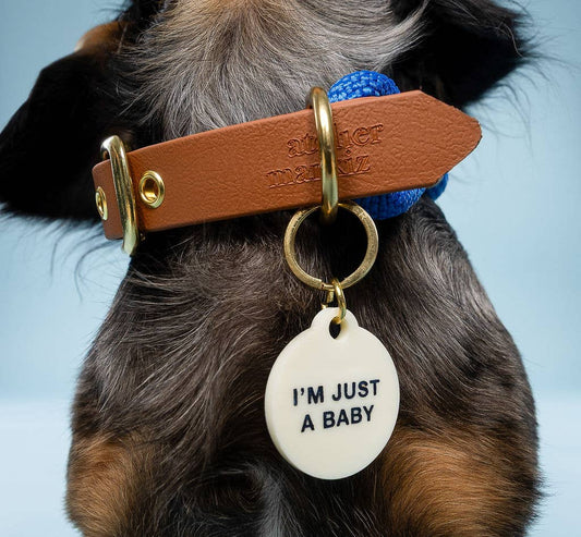 I'm Just A Baby Pet Tag