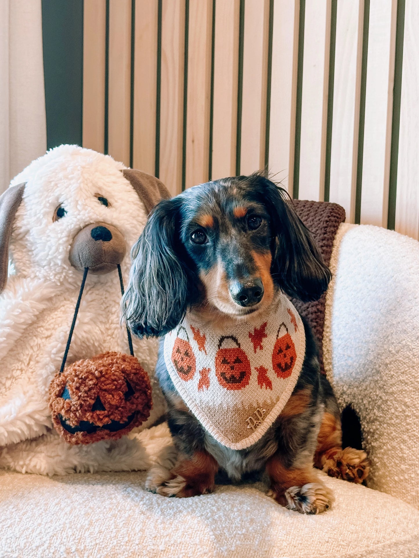 Tricks for Treats Snap On Bandana