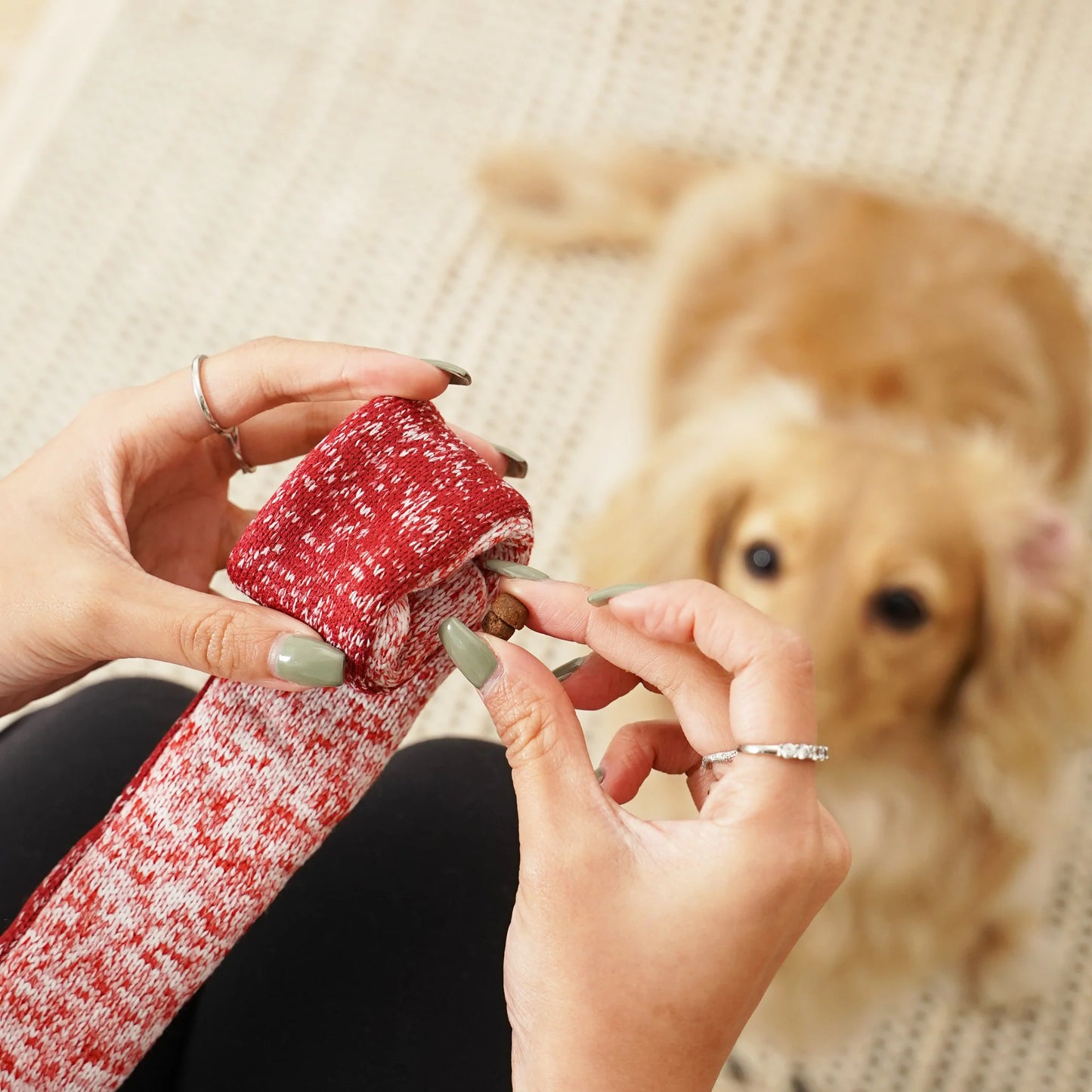 Lollipop Enrichment Dog Toy