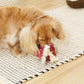 Lollipop Enrichment Dog Toy