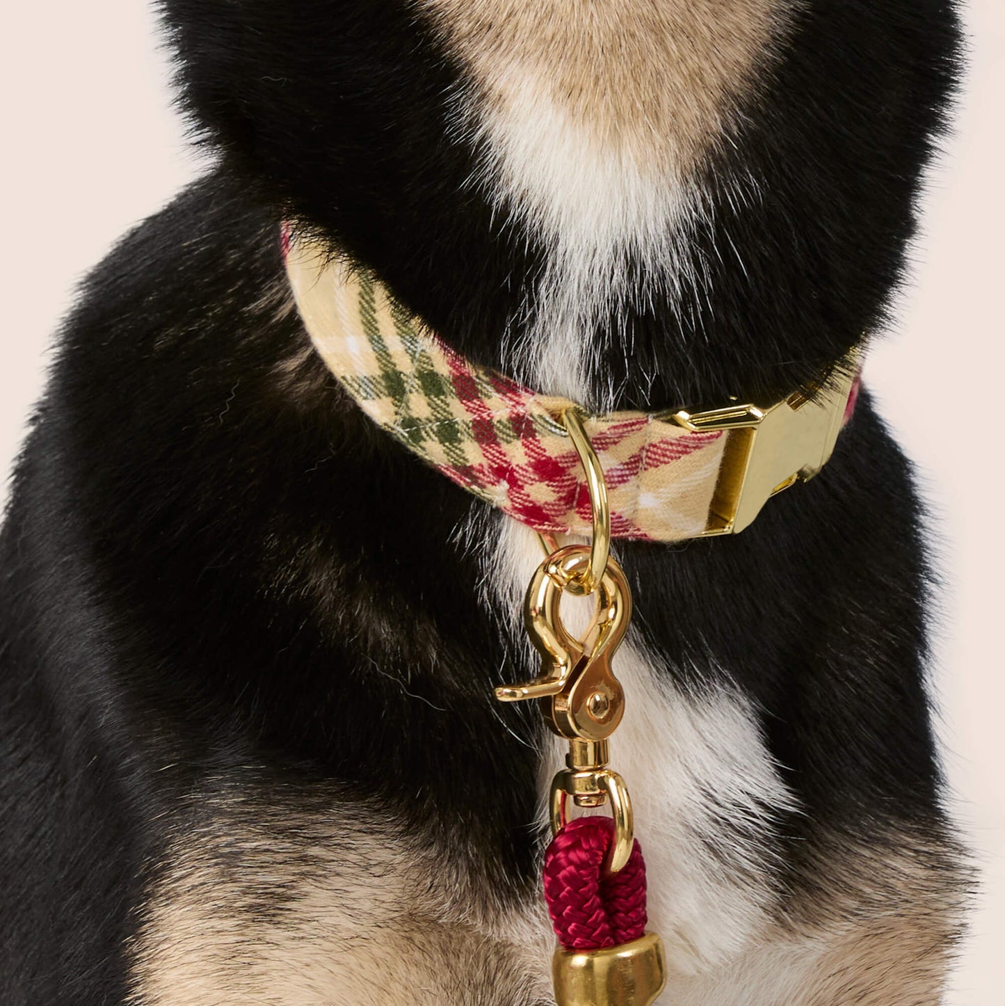Eggnog Plaid Flannel Holiday Dog Collar