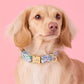 Flora Dog Collar Dog Collar
