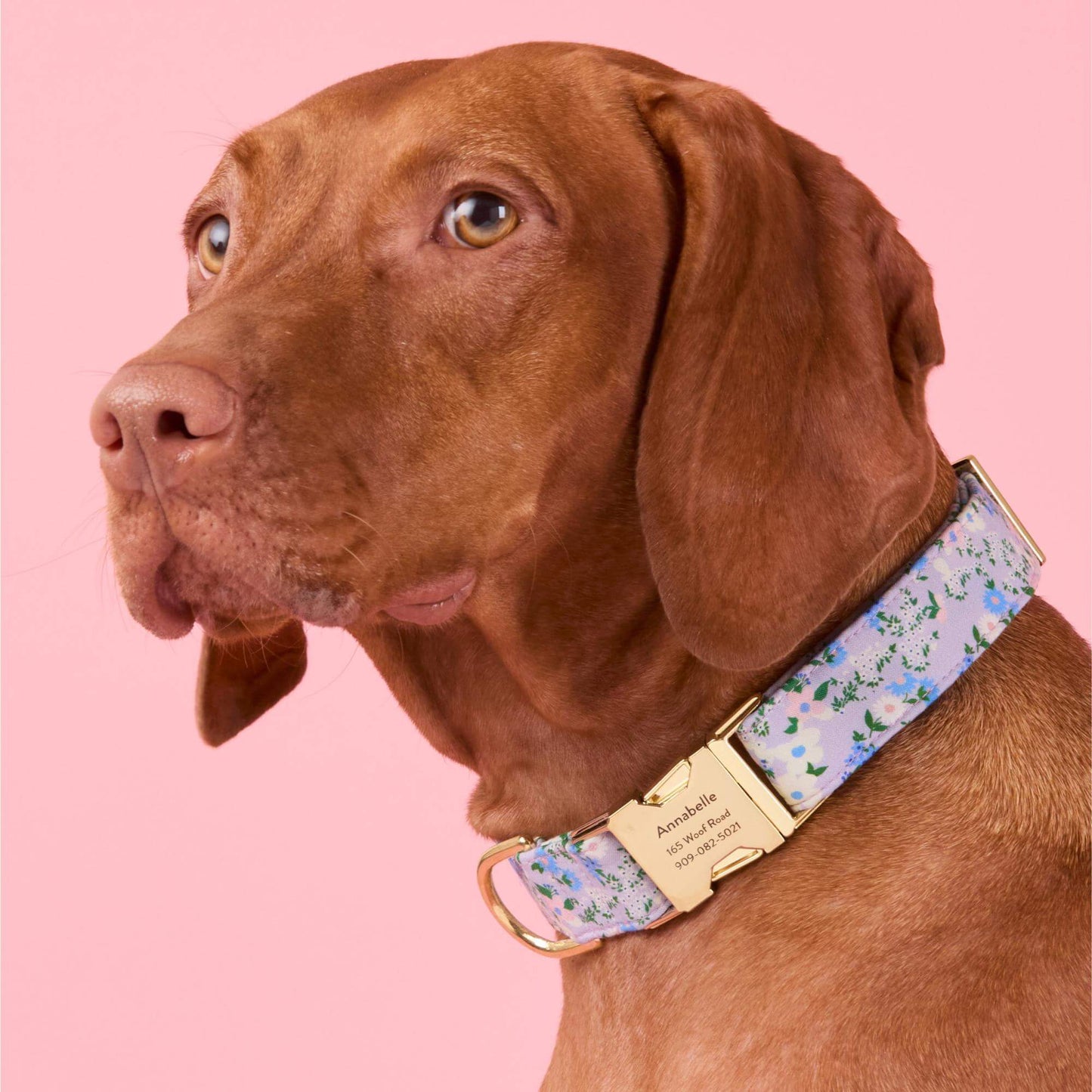 Flora Dog Collar Dog Collar