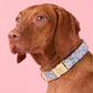 Flora Dog Collar Dog Collar