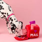 Love Letters Interactive Snuffle Dog Toy