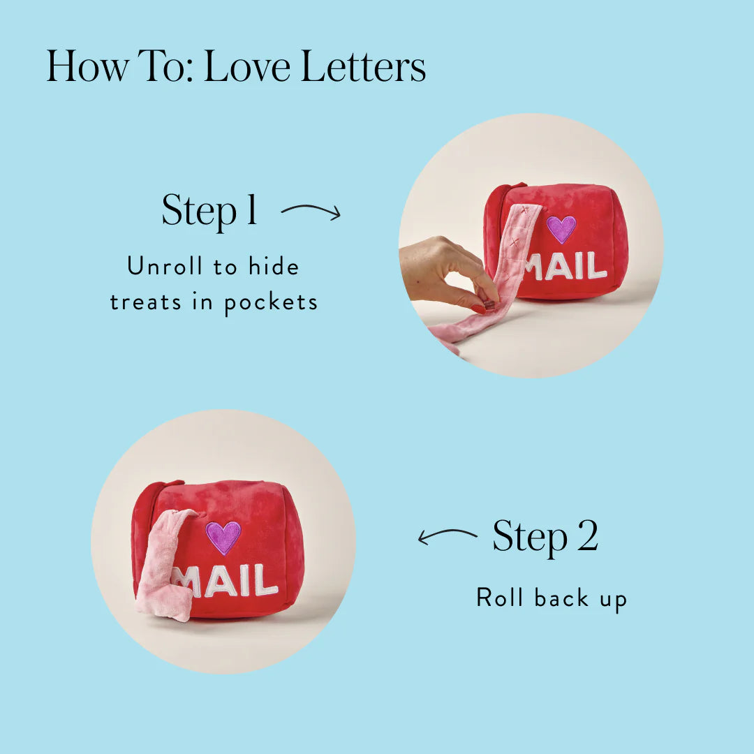Love Letters Interactive Snuffle Dog Toy